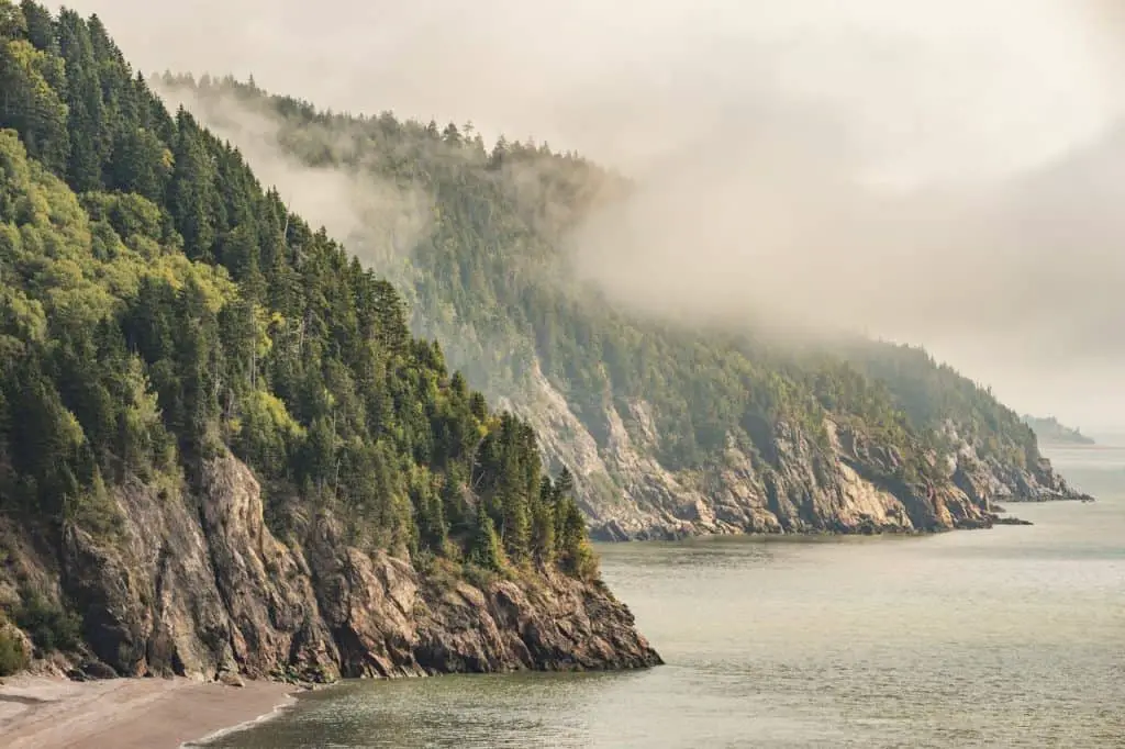 35 Best Things To Do In New Brunswick