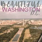 Washington 14