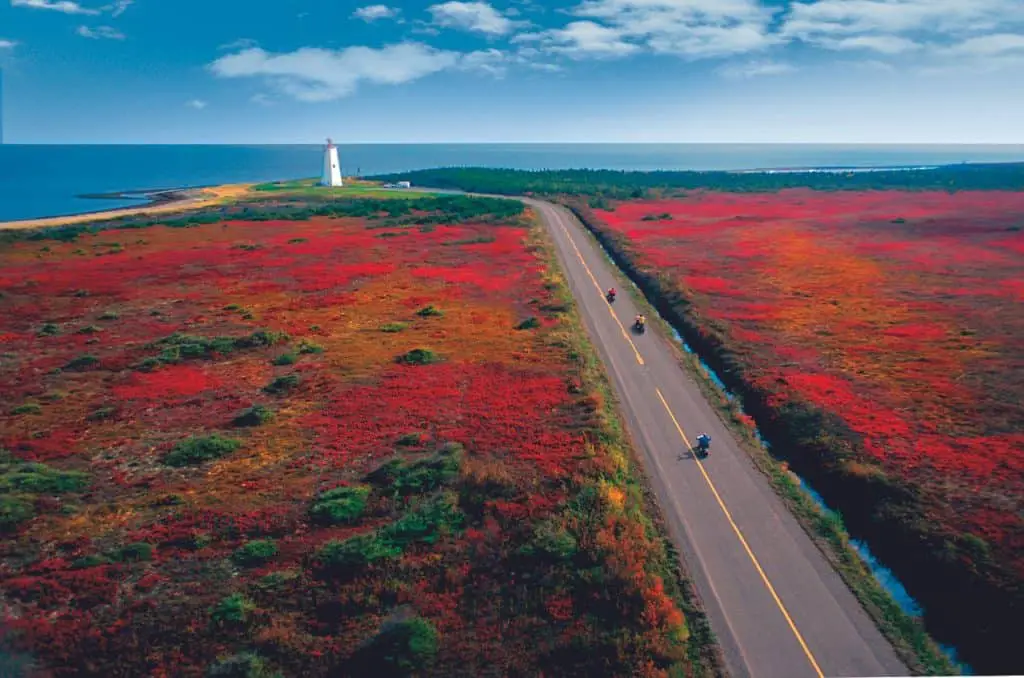 35 Best Things To Do In New Brunswick