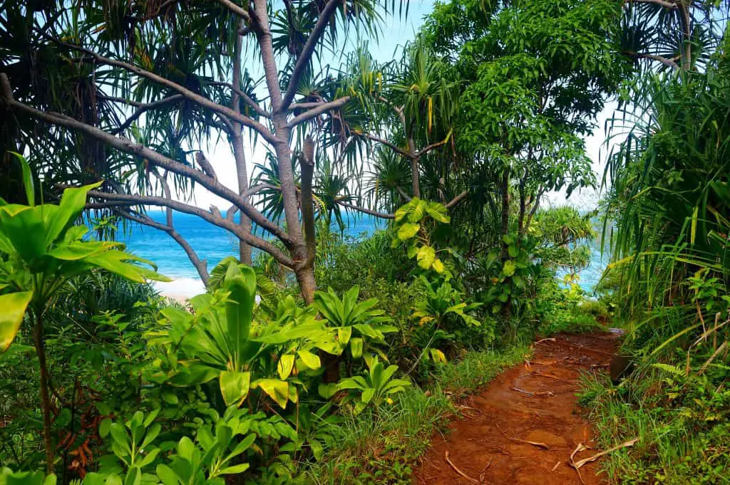 Stunning view of the famous Kalalau trail along Na Pali coast of the Island of Kauai in the state of Hawaii- One Week in Kauai