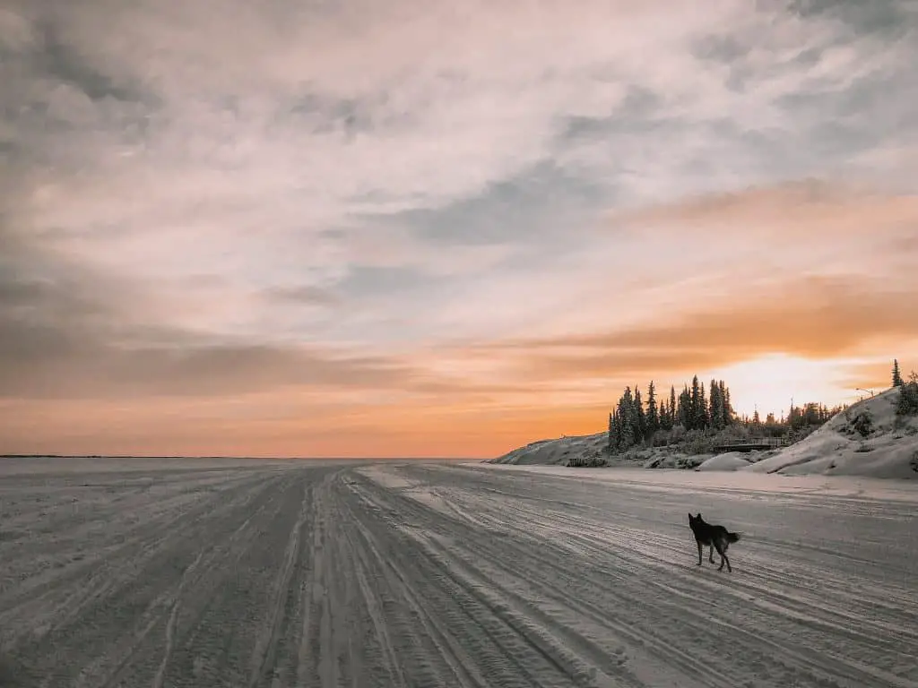 9 Things to Do in Yellowknife