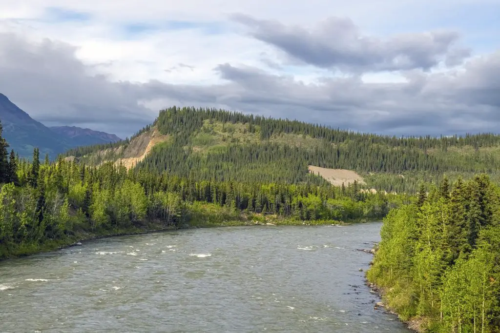 Nenana River in Denali National Park in Alaska - Bucket List Ideas
