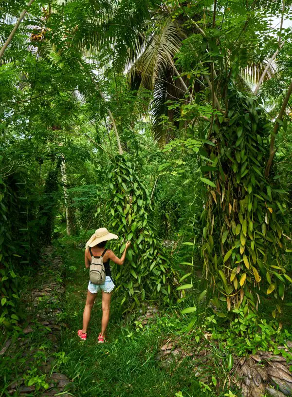 Backpacking Hawaii | Ultimate Hawaii Backpacking Hawaii Guide