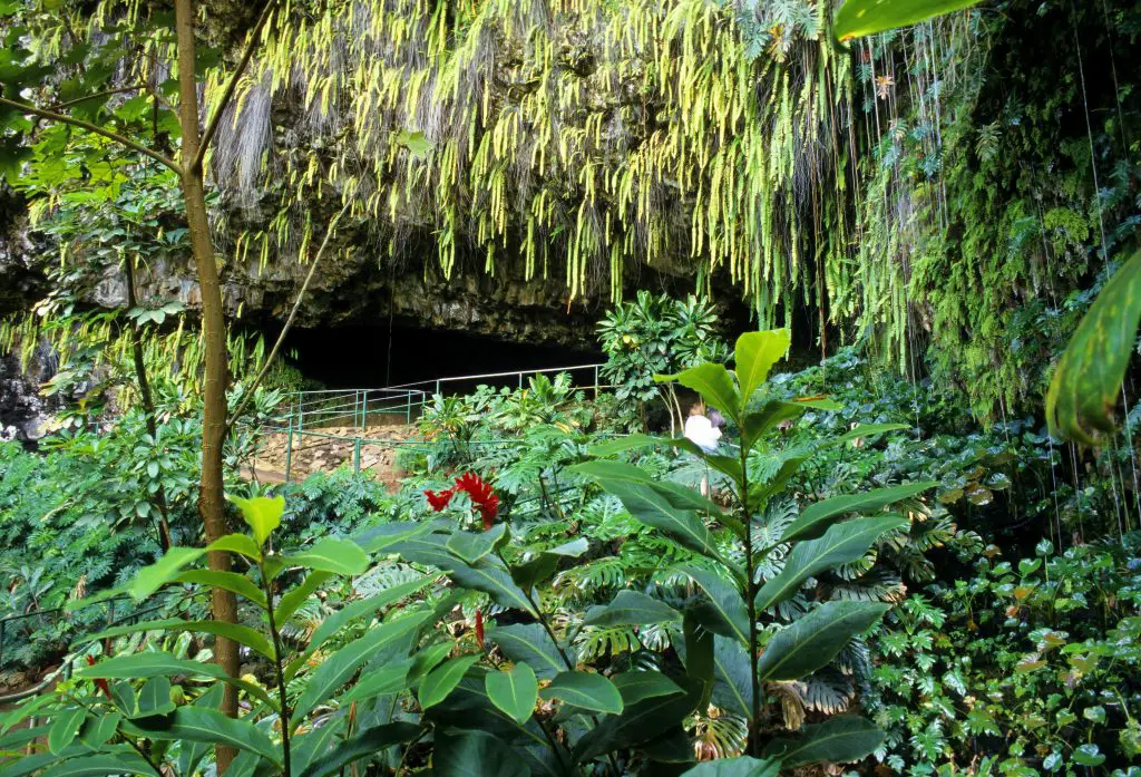 Fern Grotto - One Week in Kauai