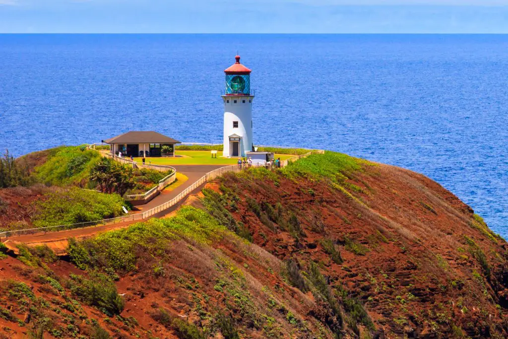 Kilauea Point, a Perfect Location for Whale-Watchingt -One Week in Kauai