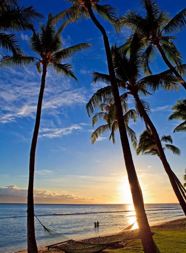 21 Maui Beaches | Beautiful Beaches on Maui (By Regions) 